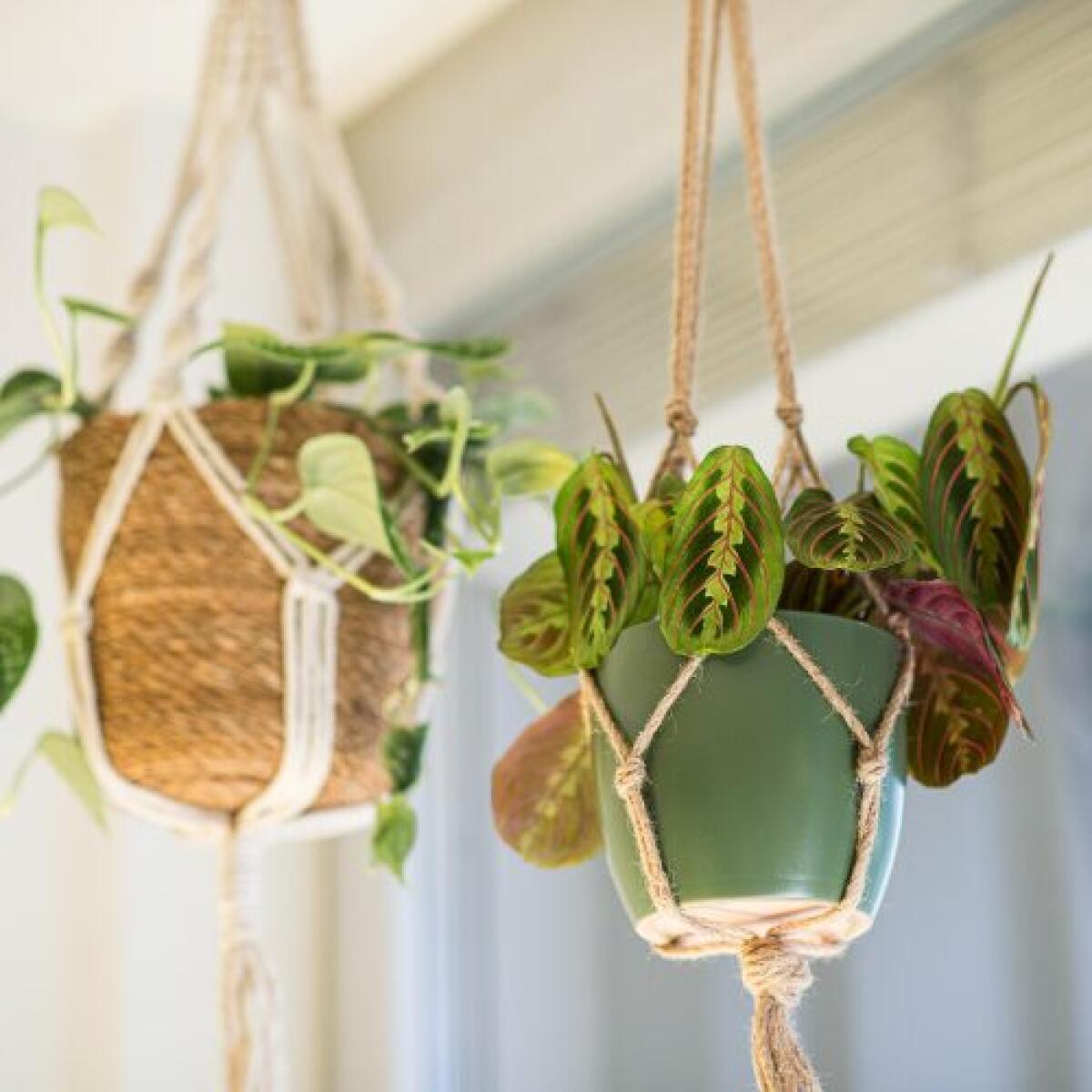 Petite salle séminaire l'Entrepôt Bulle